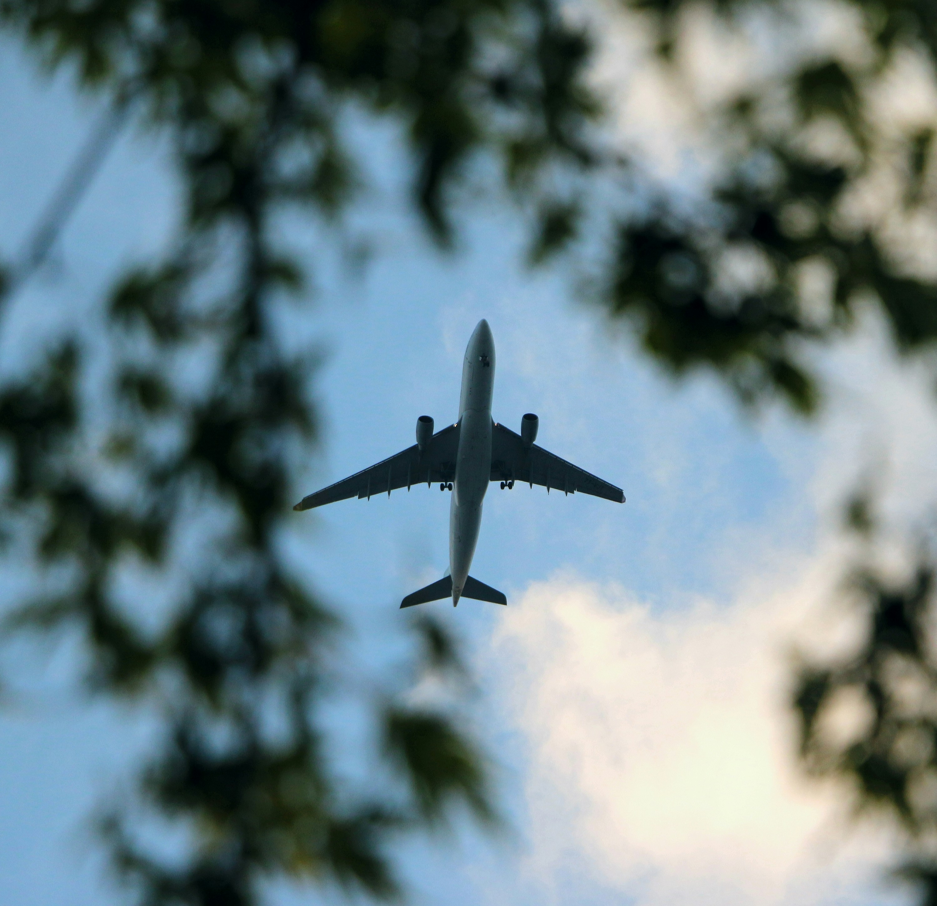 Cultural Orientation & Pre-departure Guidance